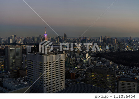 The panorama of Tokyo, Japan The panorama of Tokyo, Japan 111056454