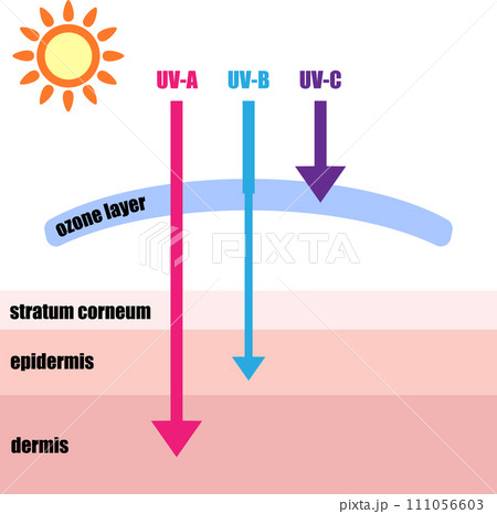 紫外線が肌に到達するイメージイラスト 111056603