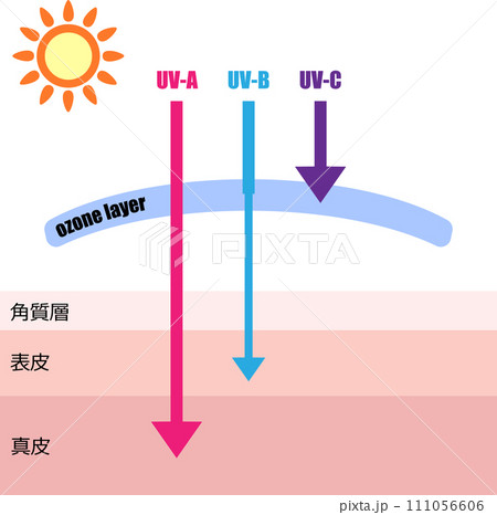 紫外線が肌に到達するイメージイラスト 111056606