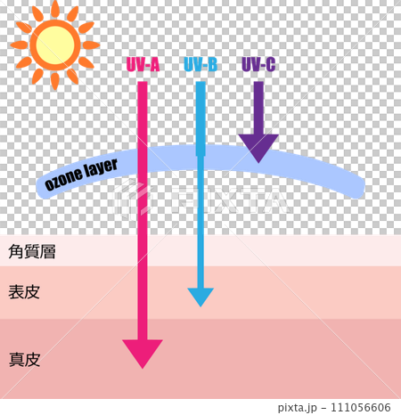 紫外線が肌に到達するイメージイラスト 111056606