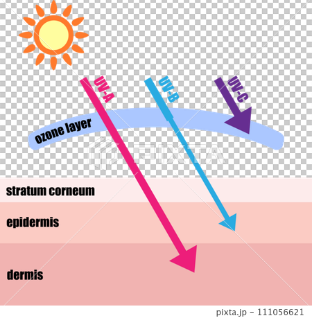 Image illustration of ultraviolet rays reaching the skin 111056621