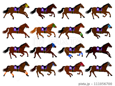 競馬のレースに出走する16頭の競走馬 競馬のレースに出走する16頭の競走馬 111056700