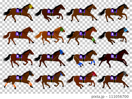 競馬のレースに出走する16頭の競走馬 競馬のレースに出走する16頭の競走馬 111056700