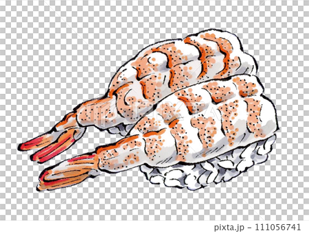 寿司　海老　手描きイラスト 111056741