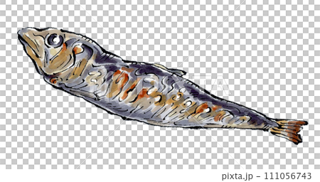 イワシの焼き魚　手描きイラスト 111056743