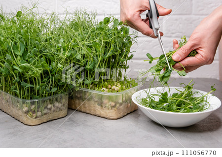 This image captures the essence of clean eating and the farm-to-table movement This image captures the essence of clean eating and the farm-to-table movement 111056770