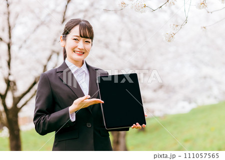 満開の桜の下でタブレットの画面を案内するスーツ姿の女性(登録・エントリー・就職・転職・進学) 満開の桜の下でタブレットの画面を案内するスーツ姿の女性(登録・エントリー・就職・転職・進学) 111057565