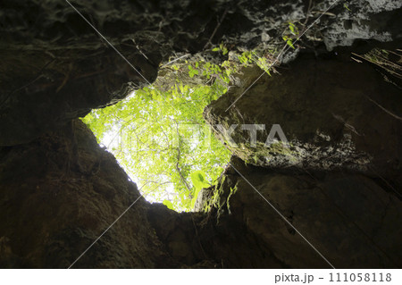 洞窟から見える地上 洞窟から見える地上 111058118
