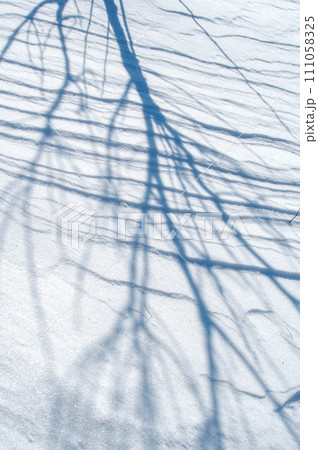 白い雪の上の樹木の影。 白い雪の上の樹木の影。 111058325