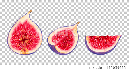 Fig fruit slices.Illustration with watercolor and markers.Hand drawn clipart on isolated background.Vegetable botanical picture for food packaging design.Tropical plant sketch for kitchen designs. Fig fruit slices.Illustration with watercolor and markers.Hand drawn clipart on isolated background.Vegetable botanical picture for food packaging design.Tropical plant sketch for kitchen designs. 111059633