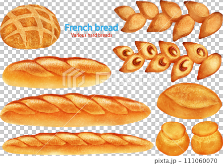 ベクター フランスパン 色々 ハード系パン 111060070