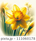 黄色みがかった水仙 111060178