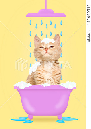 Modern aesthetic artwork. Fluffy white-orange kitten playfully batting at cluster of iridescent soap bubbles that cling to its head like crown. Pet grooming. Modern aesthetic artwork. Fluffy white-orange kitten playfully batting at cluster of iridescent soap bubbles that cling to its head like crown. Pet grooming. 111060513