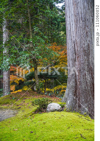 棡山 明通寺 本堂横から見る紅葉 棡山 明通寺 本堂横から見る紅葉 111060852