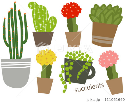 植木鉢に植えたサボテンのイラスト 111061640