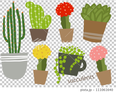 植木鉢に植えたサボテンのイラスト 111061640