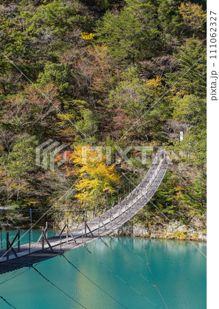日本 静岡県川根本町、寸又峡の夢の吊り橋と仄かに紅葉した木々 日本 静岡県川根本町、寸又峡の夢の吊り橋と仄かに紅葉した木々 111062327