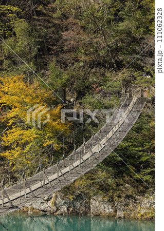 日本 静岡県川根本町、寸又峡の夢の吊り橋と仄かに紅葉した木々 日本 静岡県川根本町、寸又峡の夢の吊り橋と仄かに紅葉した木々 111062328