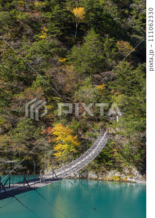 日本　静岡県川根本町、寸又峡の夢の吊り橋と仄かに紅葉した木々 111062330