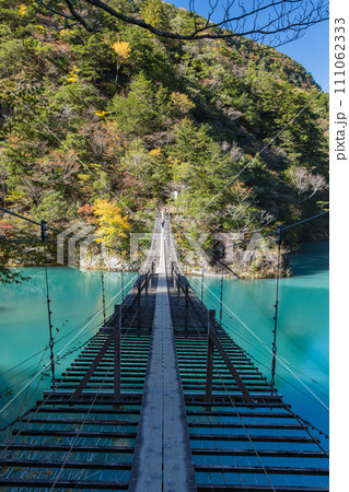 日本　静岡県川根本町、寸又峡の夢の吊り橋と仄かに紅葉した木々 111062333