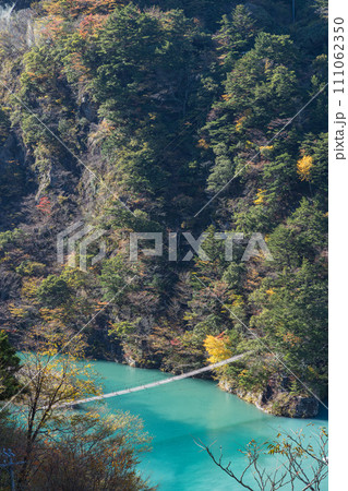 日本　静岡県川根本町、寸又峡の夢の吊り橋と仄かに紅葉した木々 111062350