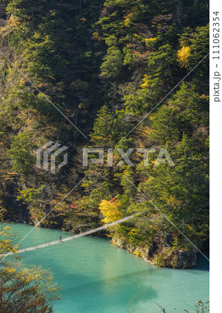 日本 静岡県川根本町、寸又峡の夢の吊り橋と仄かに紅葉した木々 日本 静岡県川根本町、寸又峡の夢の吊り橋と仄かに紅葉した木々 111062354