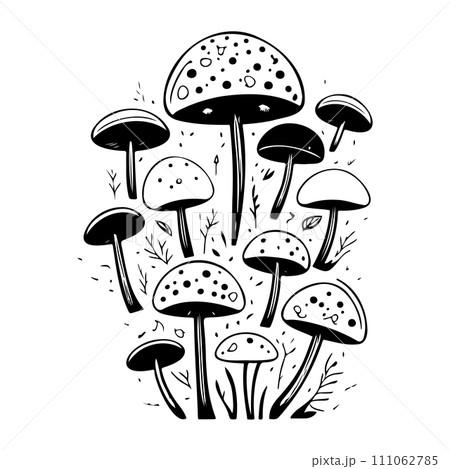 doodle mushroom illustration sketch draw black 111062785