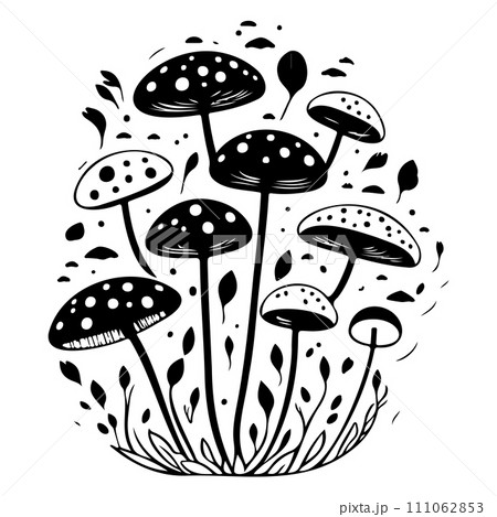 doodle mushroom illustration sketch draw black doodle mushroom illustration sketch draw black 111062853