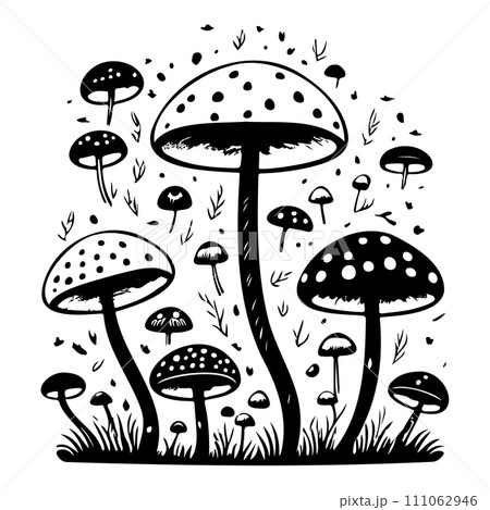 doodle mushroom illustration sketch draw black 111062946