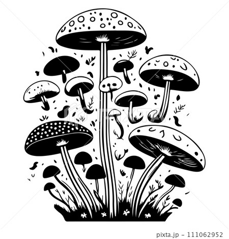 doodle mushroom illustration sketch draw black 111062952