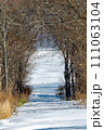 木のトンネルを抜ける雪に覆われた冬の田舎道。 111063104