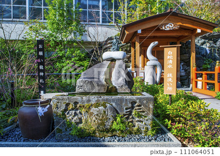 東京都・品川区　蛇窪神社　銭回し銭洗所　白蛇日本三大聖地 111064051
