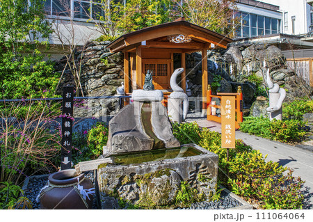 東京都・品川区 蛇窪神社 白蛇辨財天社 白蛇日本三大聖地 東京都・品川区 蛇窪神社 白蛇辨財天社 白蛇日本三大聖地 111064064