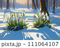 Beautiful first snowdrop flowers in the spring forest. Delicate spring flowers, snowdrops, are harbingers of warming and symbolize the arrival of spring. Scenic view of a spring forest with blooming 111064107