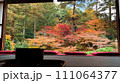 日本庭園を日本間から 日本庭園を日本間から 111064377