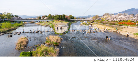 People enjoying cherry blossoms at Kamo River delta (Kamogawa River delta). People enjoying cherry blossoms at Kamo River delta (Kamogawa River delta). 111064924