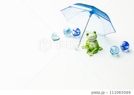 カエルと傘　梅雨のイメージ素材 111065089