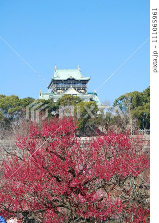 紅梅の向こうの大阪城天守閣の風景 紅梅の向こうの大阪城天守閣の風景 111065961