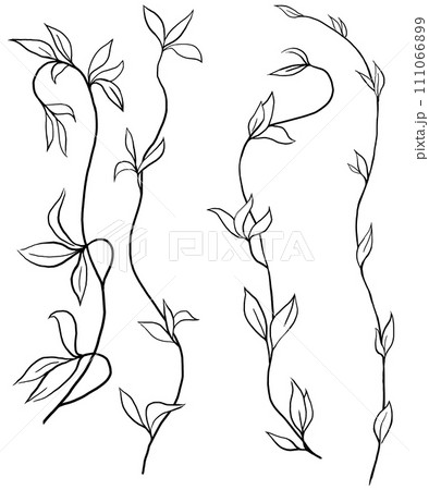 Hand drawn twigs with leaves, black outlines, isolated illustration, wedding stationery element Hand drawn twigs with leaves, black outlines, isolated illustration, wedding stationery element 111066899