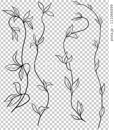 Hand drawn twigs with leaves, black outlines, isolated illustration, wedding stationery element Hand drawn twigs with leaves, black outlines, isolated illustration, wedding stationery element 111066899