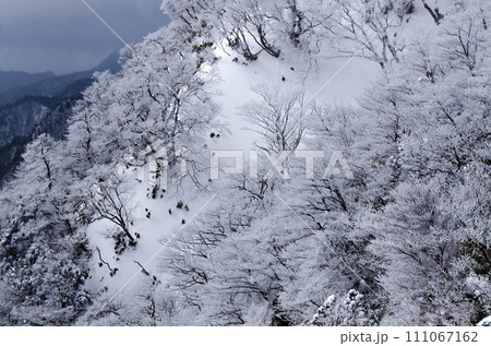 御在所岳の斜面は雪と樹氷に覆われていた 御在所岳の斜面は雪と樹氷に覆われていた 111067162