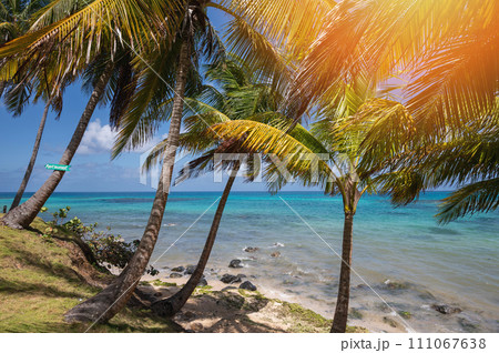 Caribbean exotic costline Caribbean exotic costline 111067638