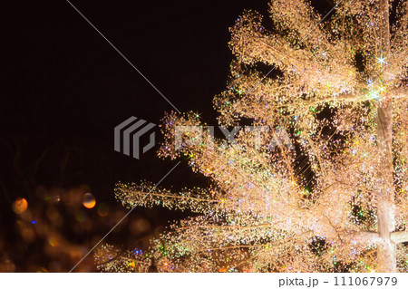 箱根のクリスマスのイルミネーション 箱根のクリスマスのイルミネーション 111067979