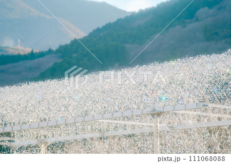 箱根のクリスマスのイルミネーション 111068088