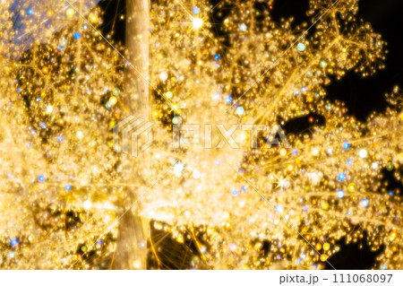 箱根のクリスマスのイルミネーション 箱根のクリスマスのイルミネーション 111068097