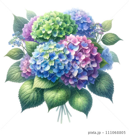 watercolor of Hydrangea flower bouquet and greenery leaves clipa watercolor of Hydrangea flower bouquet and greenery leaves clipa 111068805