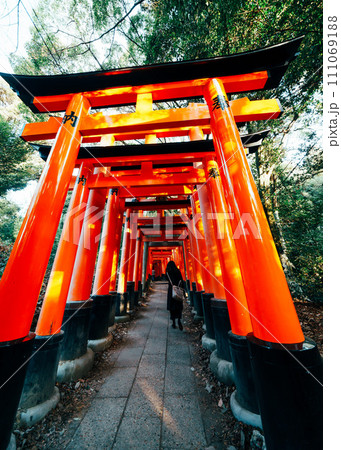 京都の伏見稲荷大社の朝のお参り 京都の伏見稲荷大社の朝のお参り 111069188