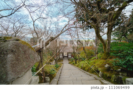 京都の寺の庭園 京都の寺の庭園 111069499