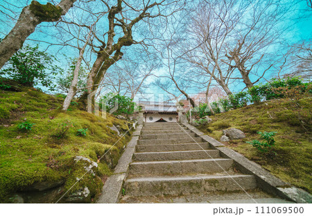 京都の寺の庭園 111069500