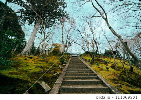 京都の寺の庭園 京都の寺の庭園 111069501